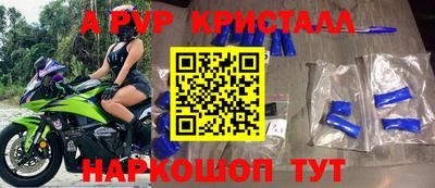 ешки Кингисепп